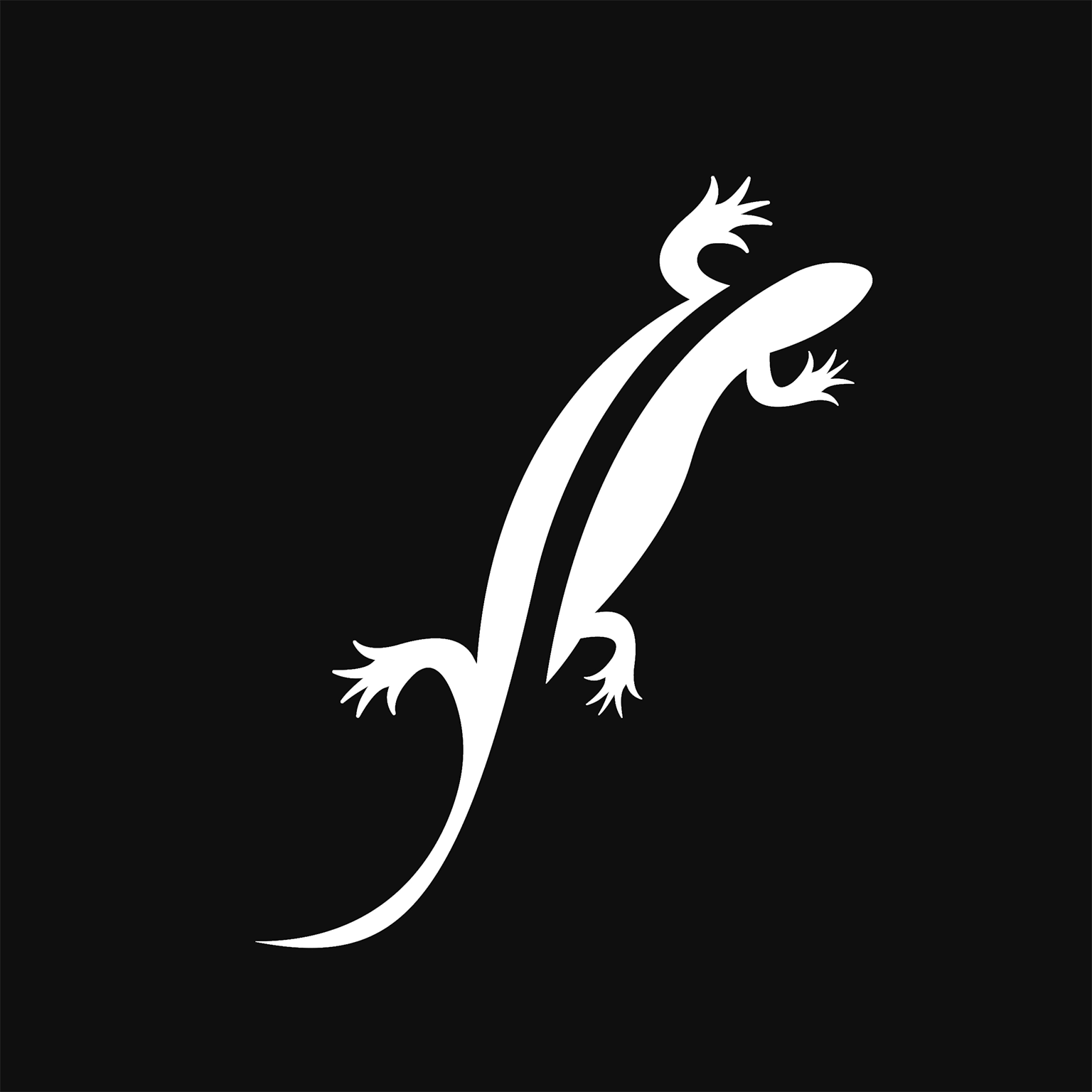 Luca Renzi - Realcism - Brandfolio