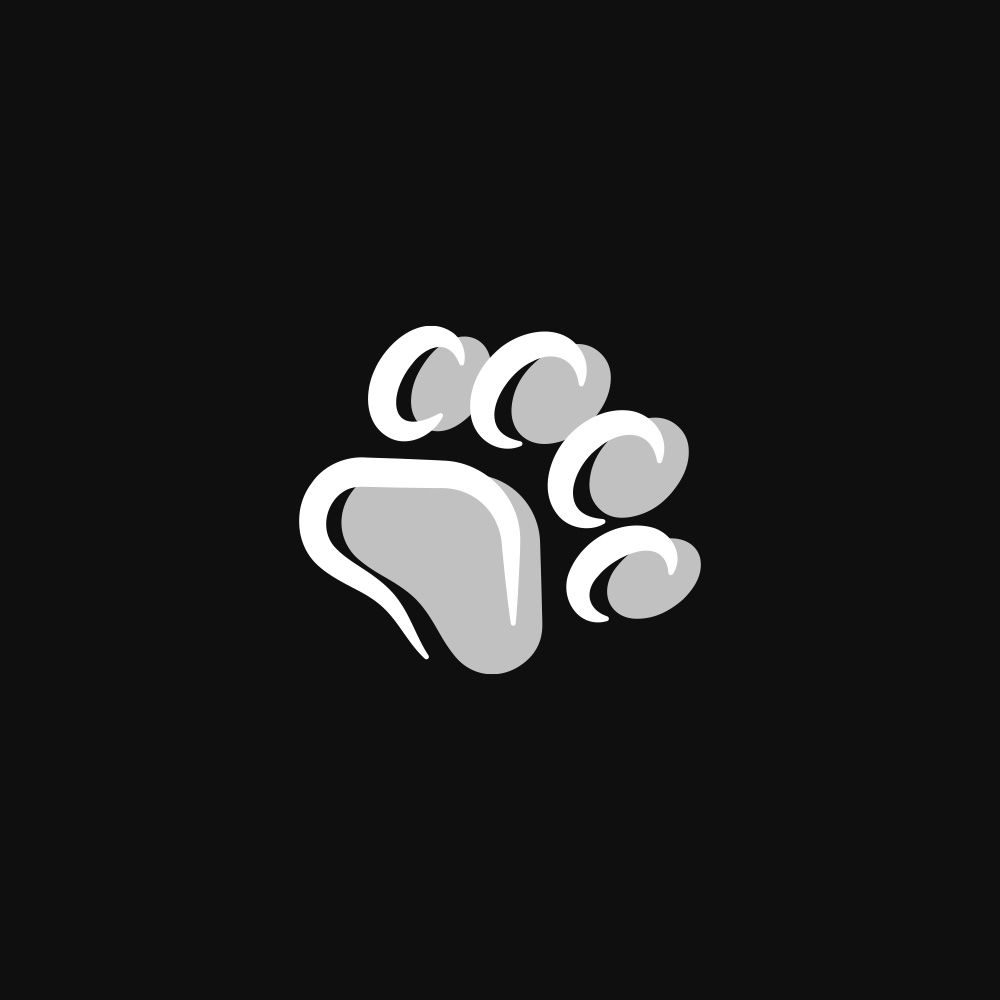 Luca Renzi - Realcism - Brandfolio