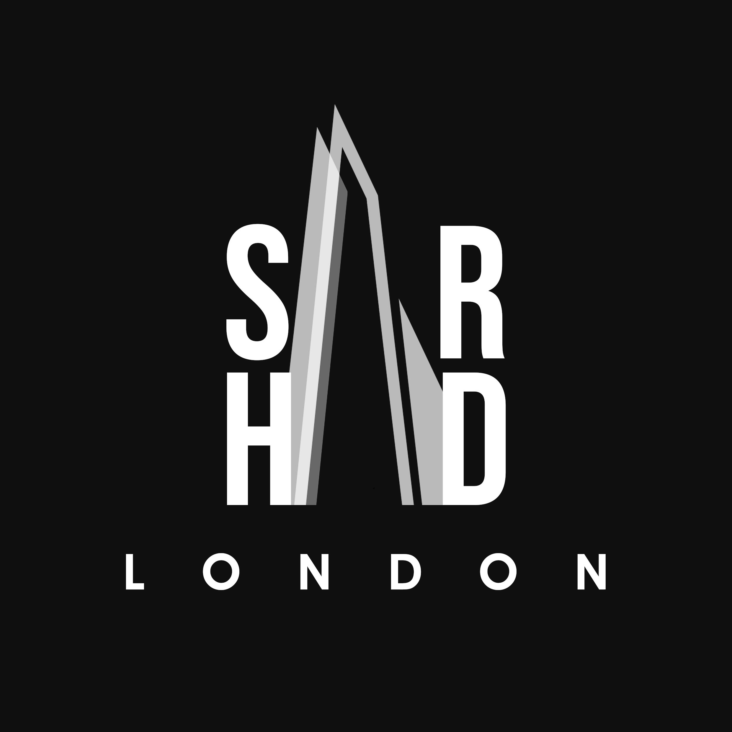 Luca Renzi - Realcism - Brandfolio