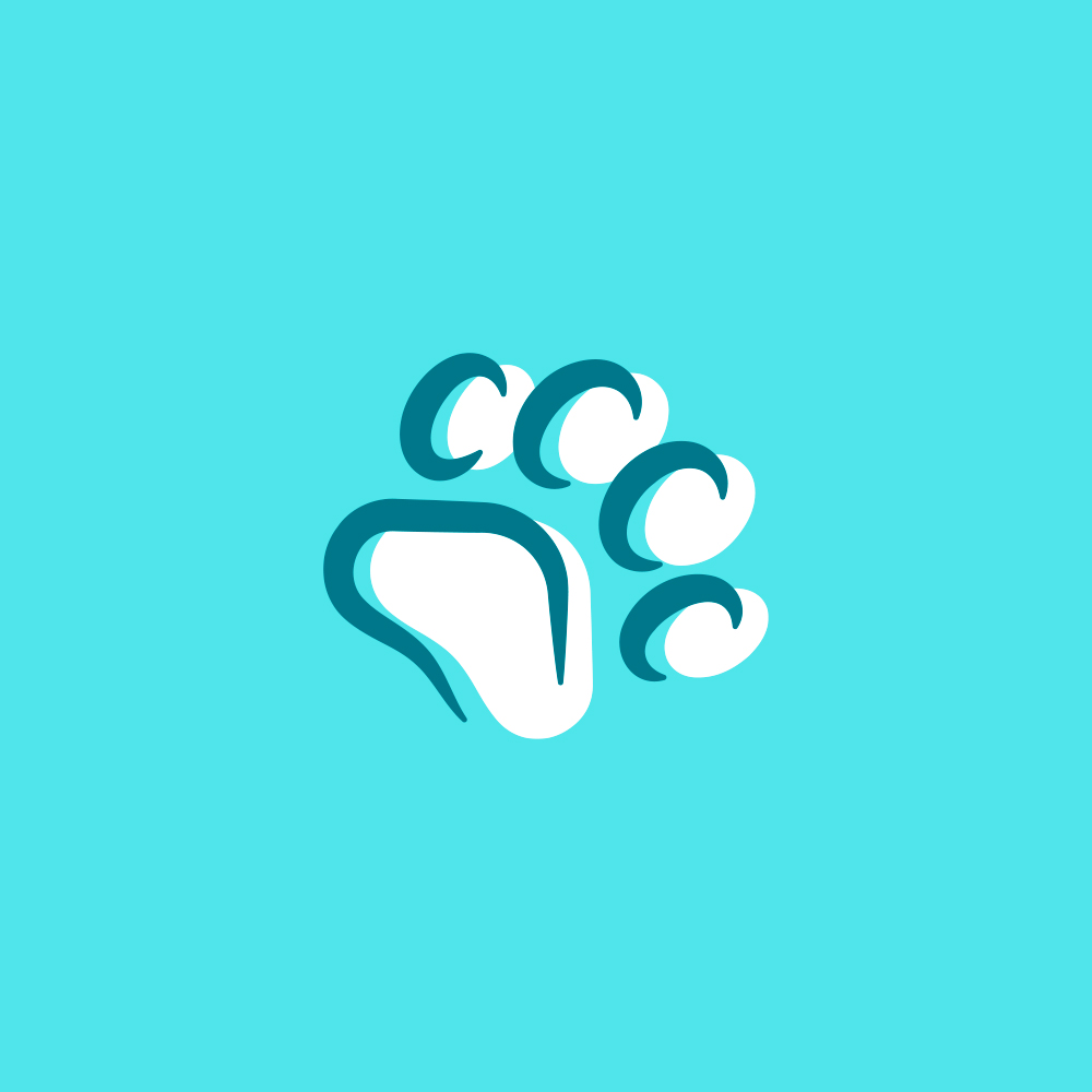 Luca Renzi - Realcism - Brandfolio