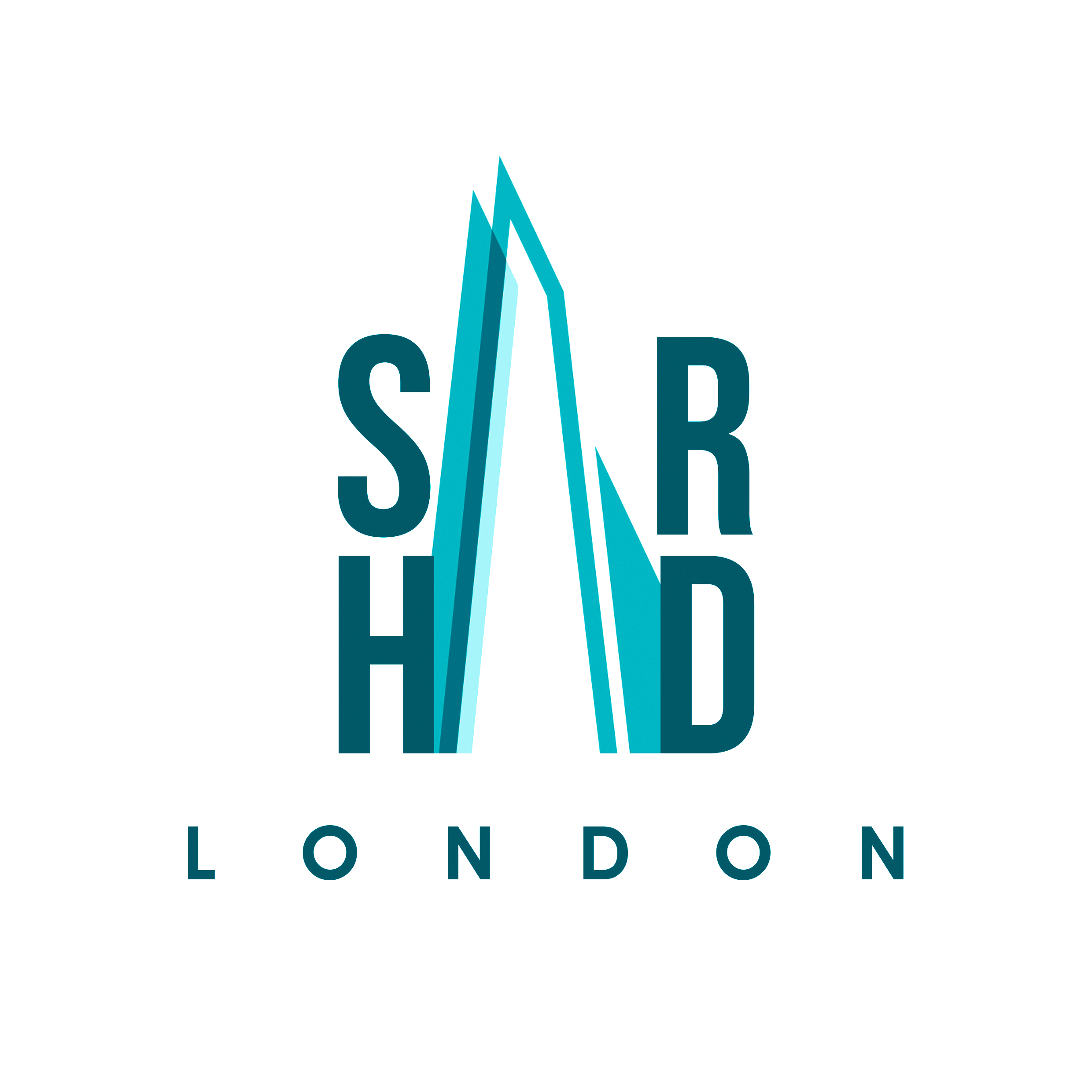 Luca Renzi - Realcism - Brandfolio