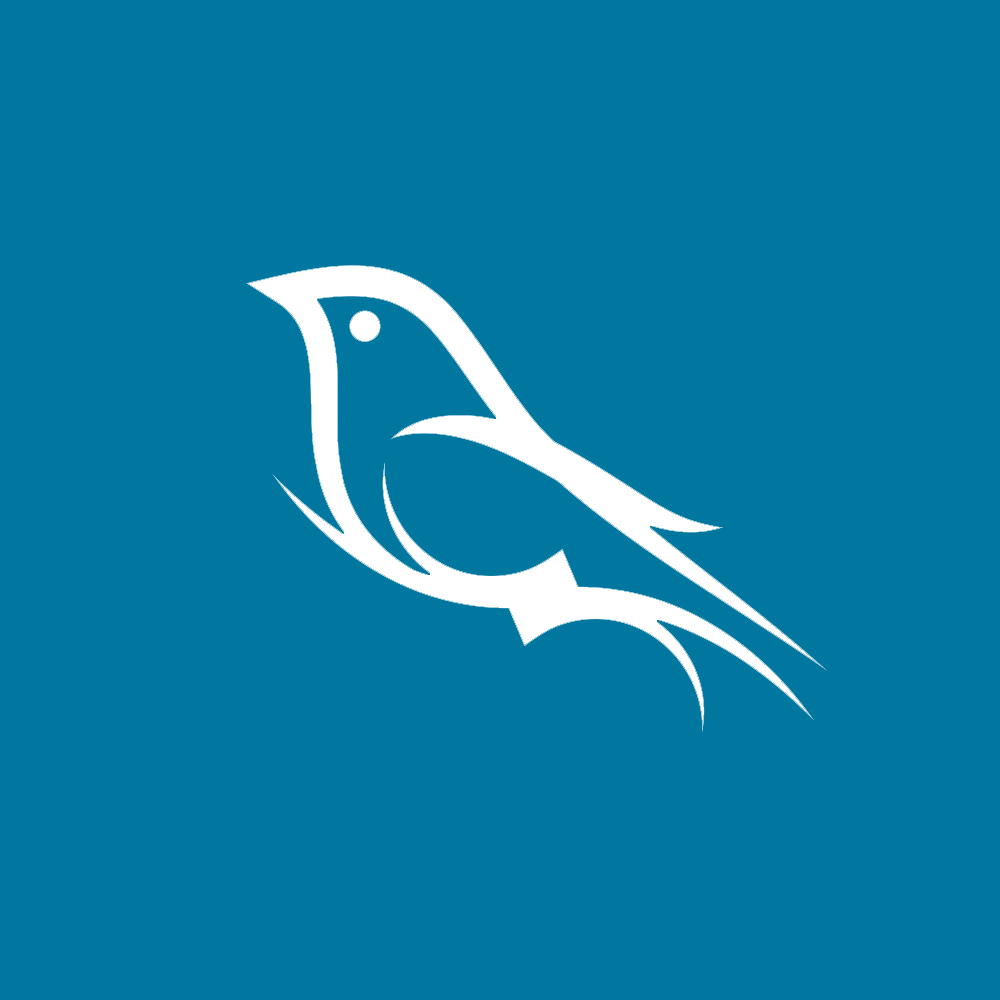 Luca Renzi - Realcism - Brandfolio